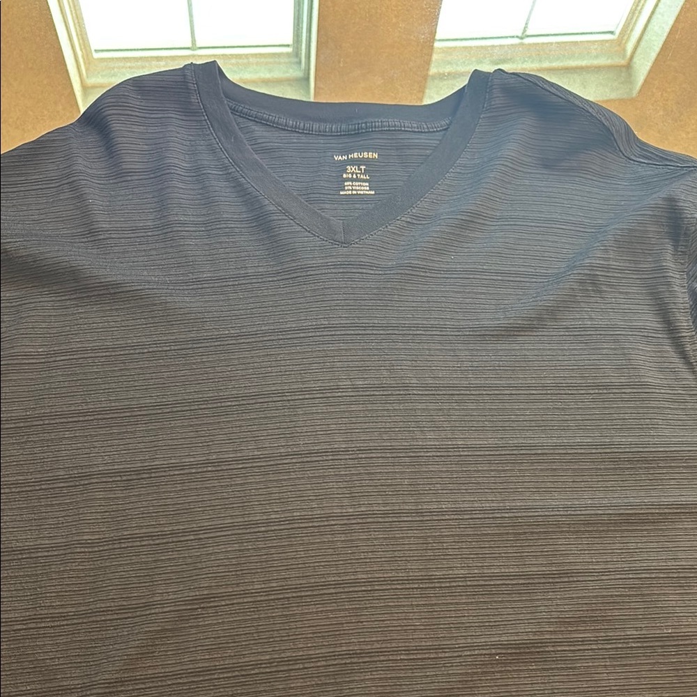 Van Heusen Black V-Neck T- Shirt for Men